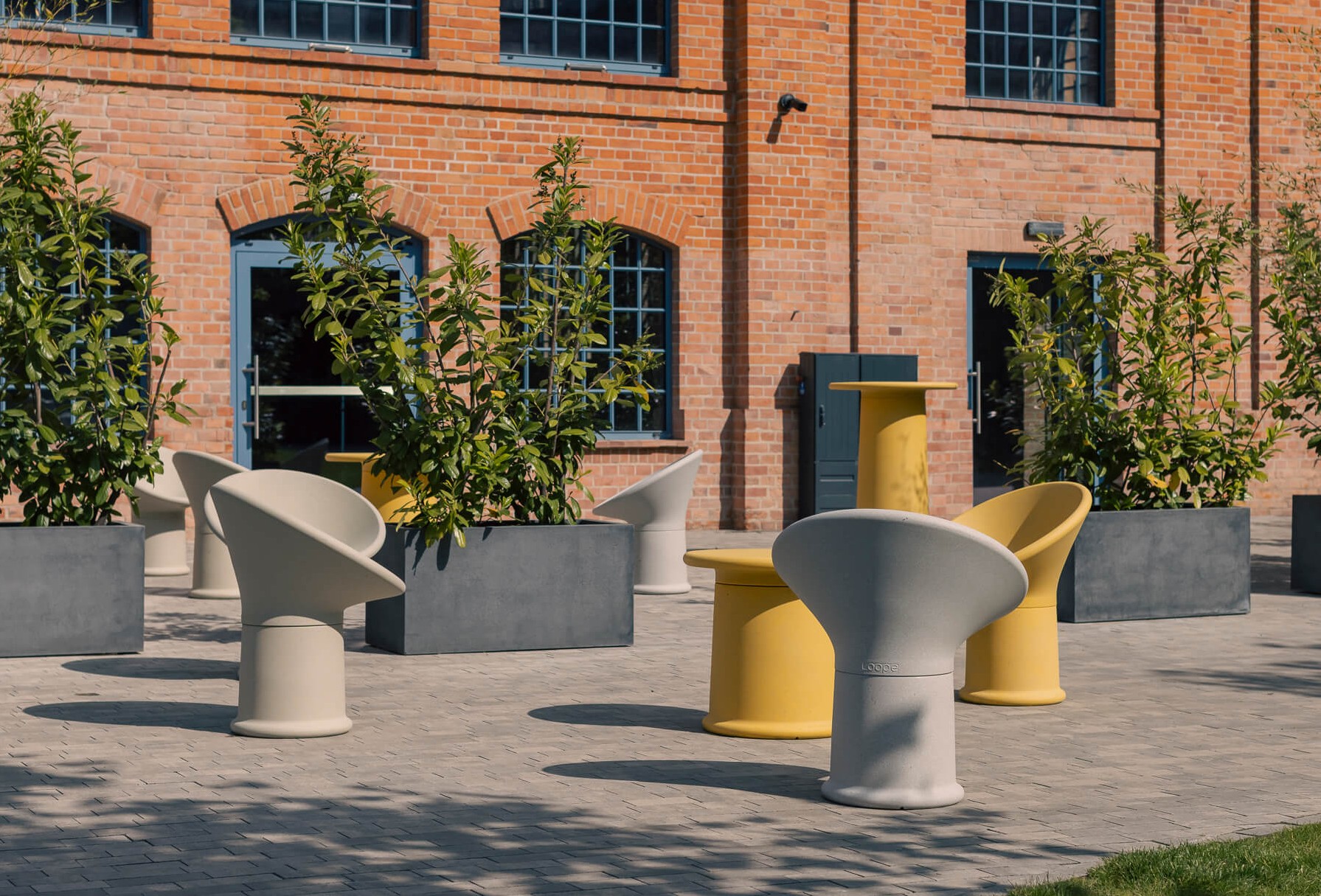 1 ROUNDER LOOPE photo by M. Swoboda